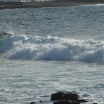 Real Surfers_7.JPG